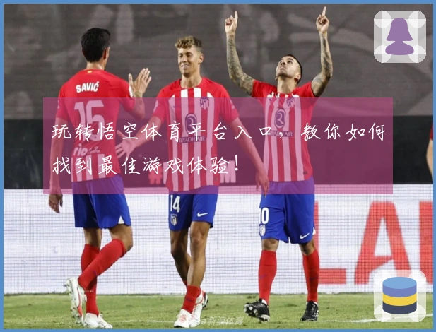 玩转悟空体育平台入口，教你如何找到最佳游戏体验！