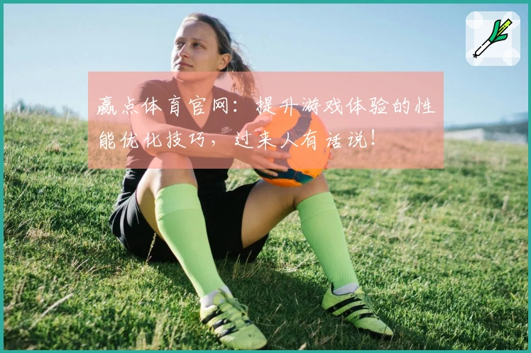 赢点体育官网：提升游戏体验的性能优化技巧，过来人有话说！