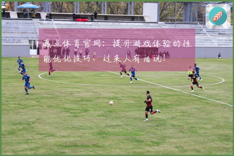 赢点体育官网：提升游戏体验的性能优化技巧，过来人有话说！