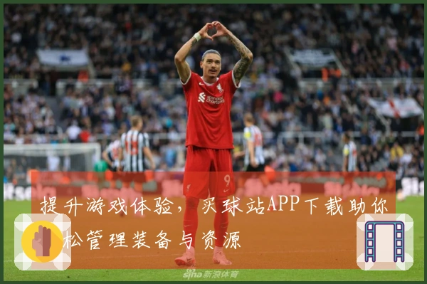 提升游戏体验，买球站APP下载助你轻松管理装备与资源