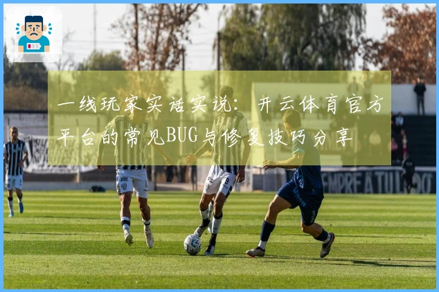 一线玩家实话实说：开云体育官方平台的常见BUG与修复技巧分享