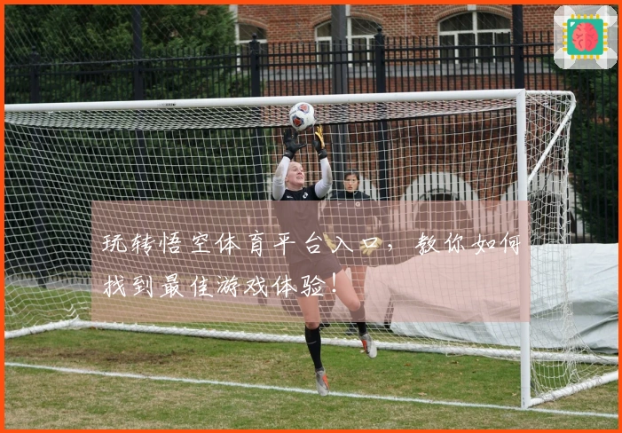 玩转悟空体育平台入口，教你如何找到最佳游戏体验！