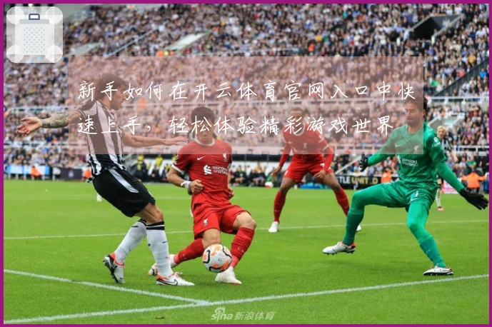 新手如何在开云体育官网入口中快速上手，轻松体验精彩游戏世界